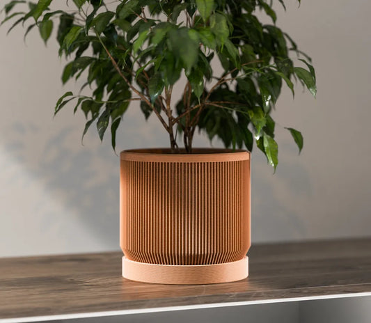 Potteplante skjuler
