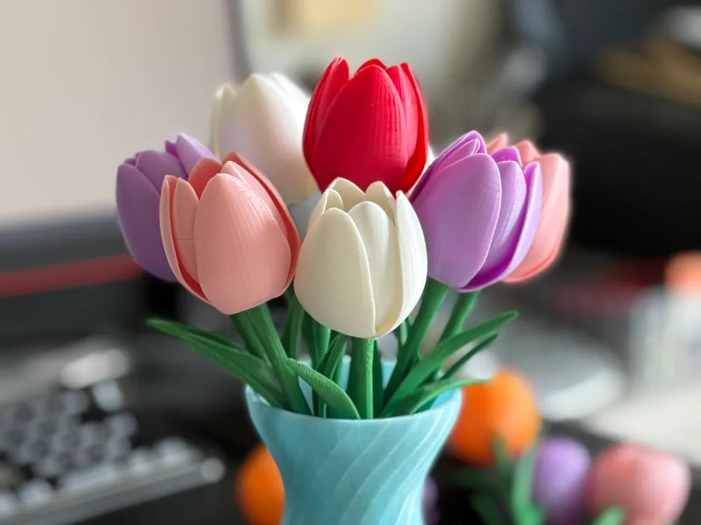 Tulipan