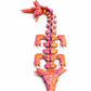 🧪 Axel –  Velonias Axolotl-drage