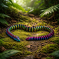 🐍 Boa – Velonias Slangevæsen