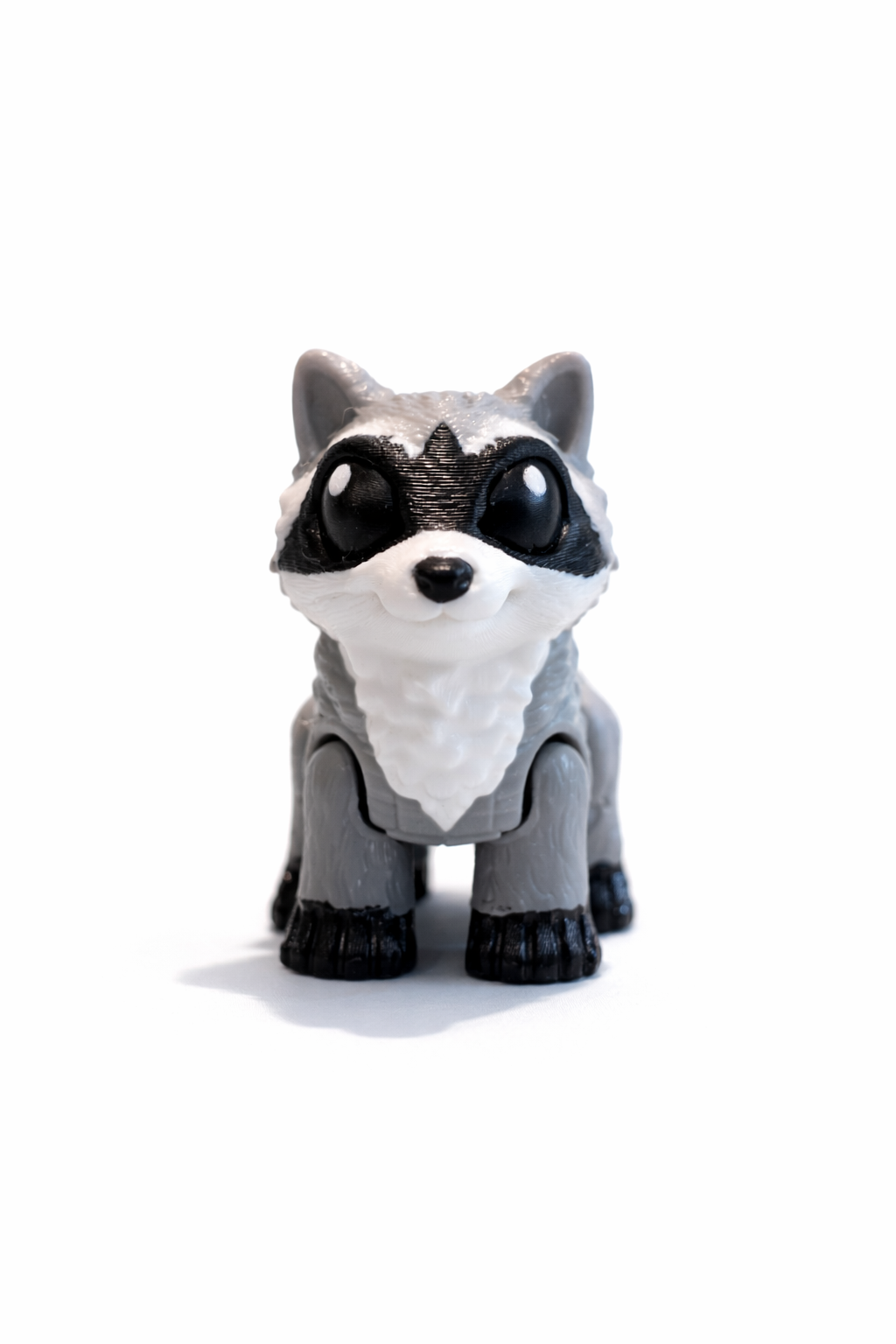 🦝 Rocco – Velonias Vaskebjørnevæsen