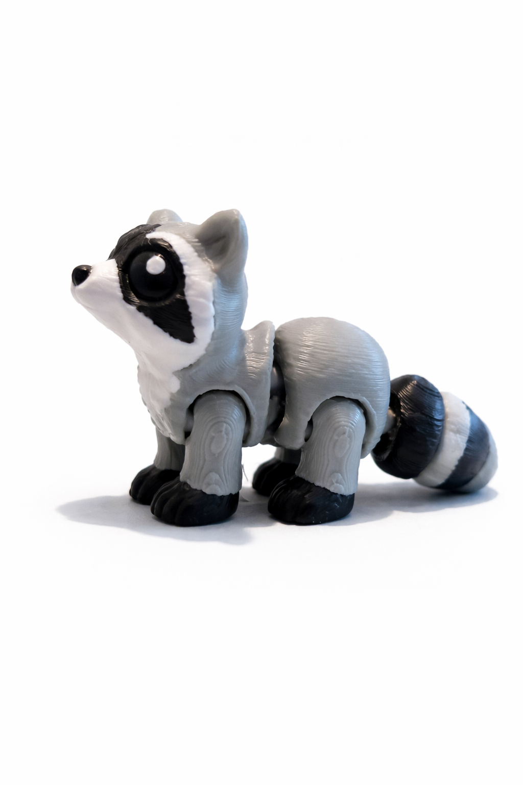 🦝 Rocco – Velonias Vaskebjørnevæsen