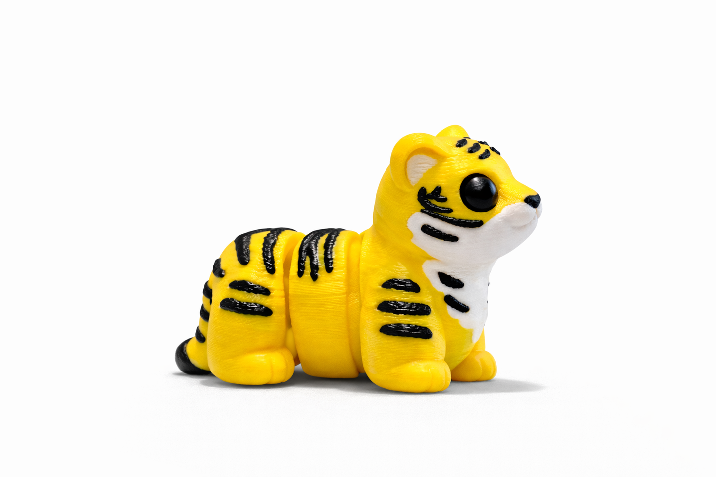 🐯 Tira – Velonias Tigervæsen