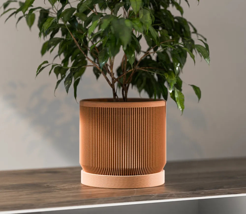 Potteplante skjuler