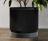 Potteplante skjuler