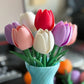 Tulipan