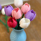 Tulipan