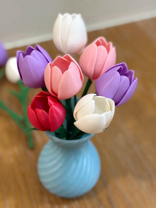 Tulipan